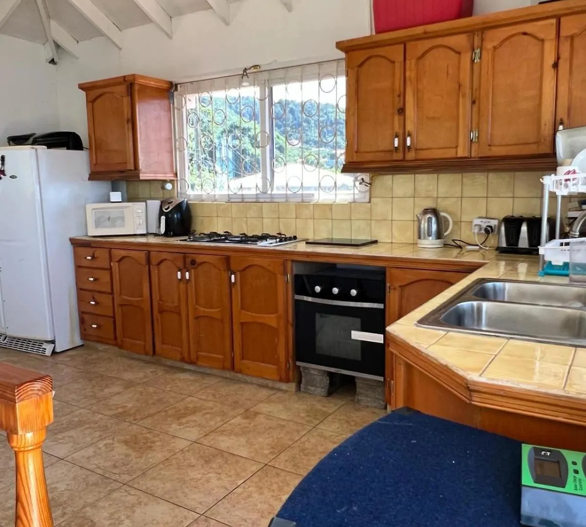 Castle Comfort Seaview Deluxe Apartment Roseau
